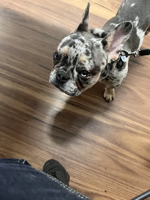 Harper Woods Veterinary Hospital 3