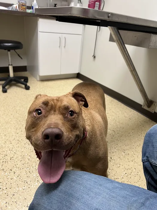 Krause Veterinary Clinic 3