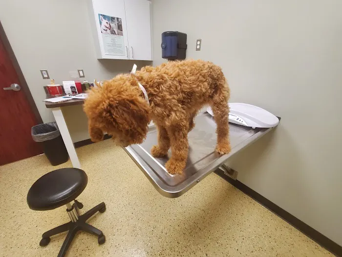 Krause Veterinary Clinic 1