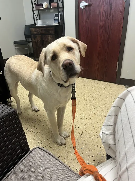 Krause Veterinary Clinic 7