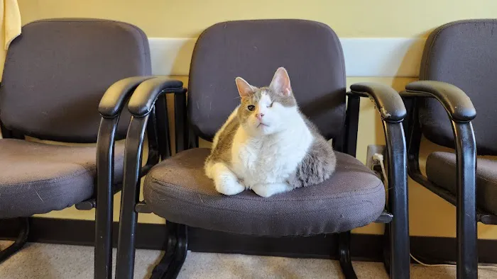 Auburn Animal Hospital 6