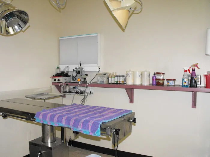 Auburn Animal Hospital 10