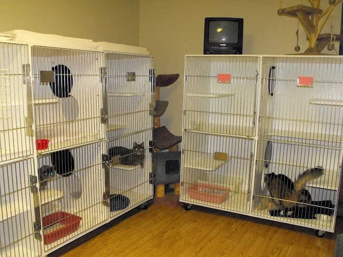 Auburn Animal Hospital 9