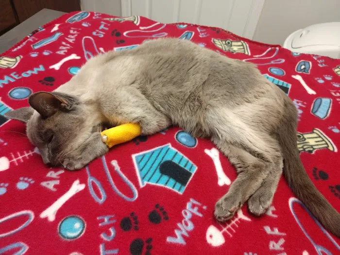 Long Lake Animal Hospital & Lakeside Pet Resort 5