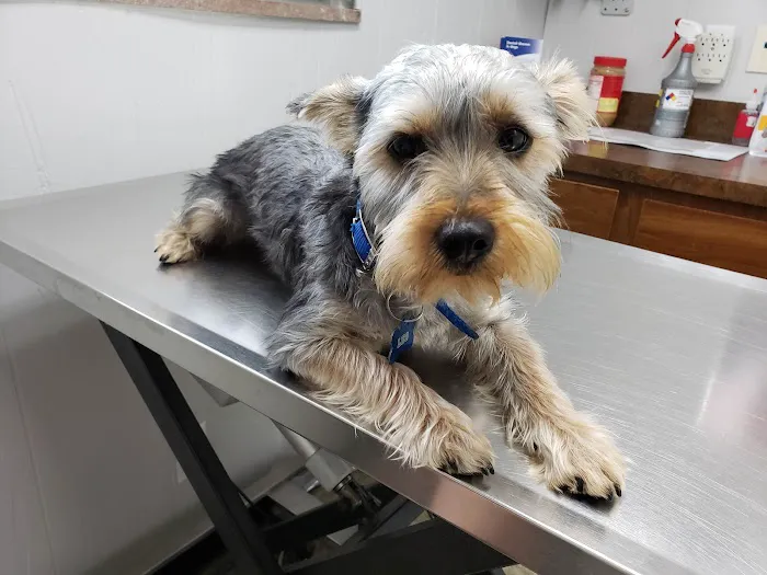 Long Lake Animal Hospital & Lakeside Pet Resort 6