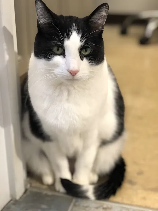 Long Lake Animal Hospital & Lakeside Pet Resort 4