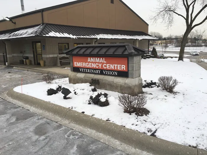 Veterinary Vision of Rochester 9