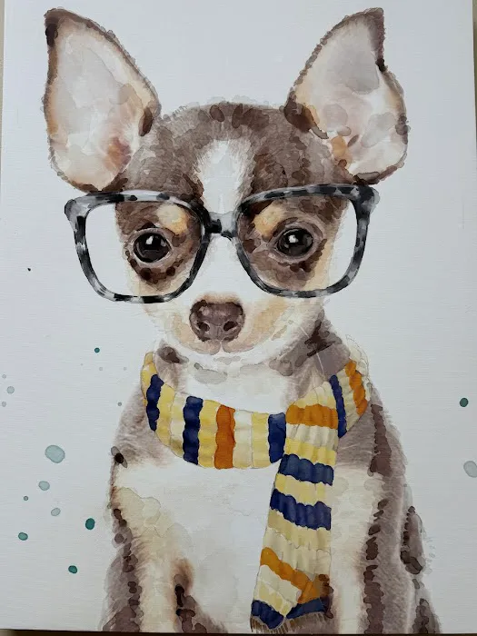 Veterinary Vision of Rochester 2