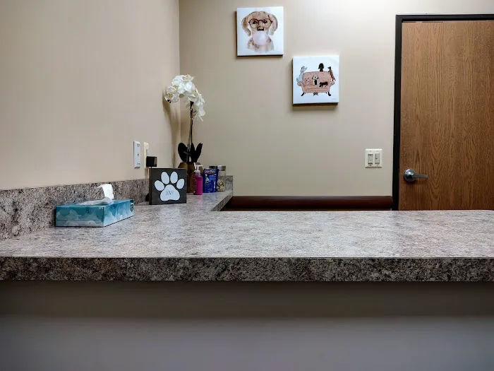 Veterinary Vision of Rochester 3