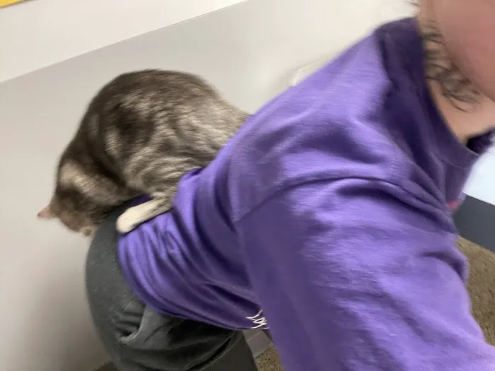 ALFA CARE ANIMAL HOSPITAL 6