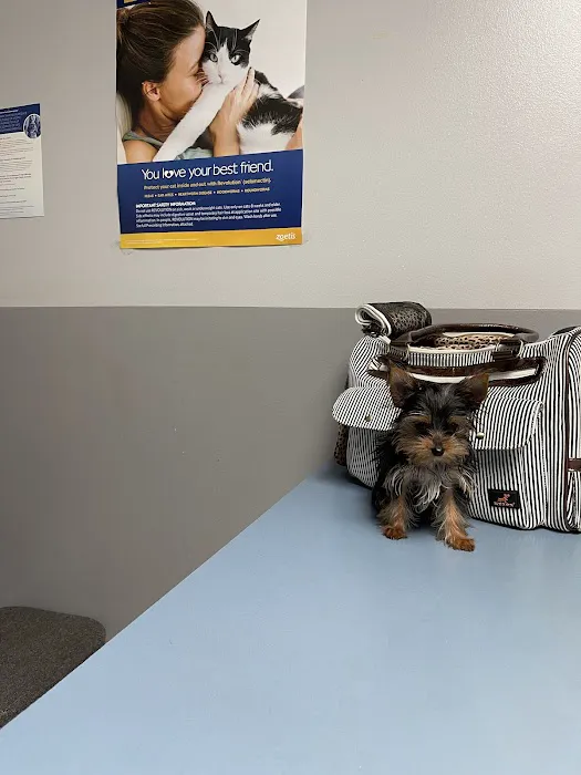 ALFA CARE ANIMAL HOSPITAL 3