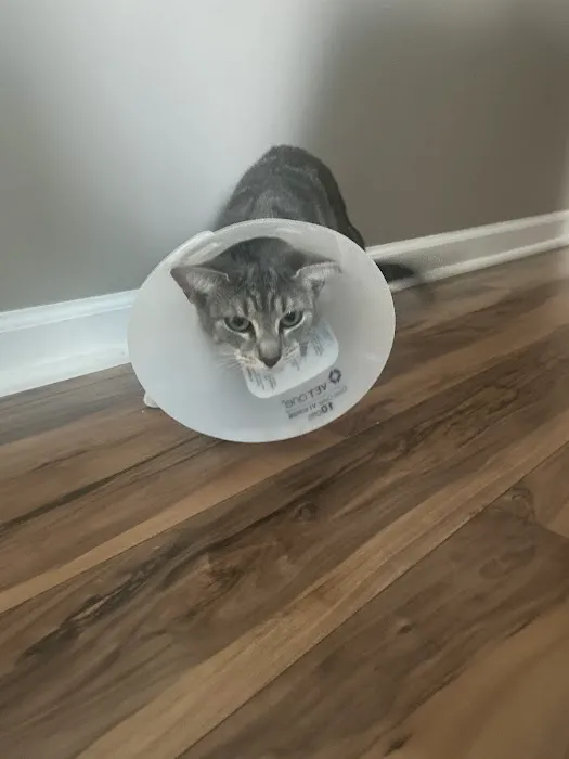 ALFA CARE ANIMAL HOSPITAL 4