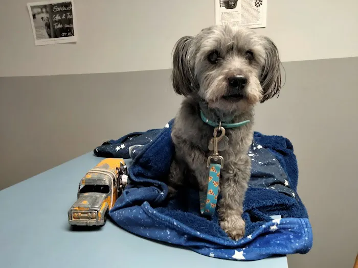 ALFA CARE ANIMAL HOSPITAL 2