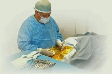 Warren Animal Clinic 2