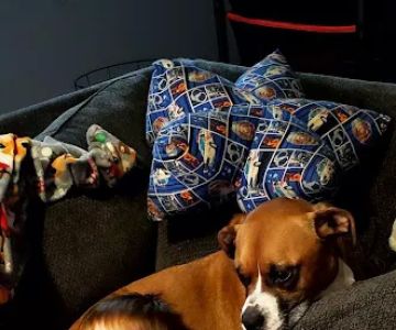 Family Animal Hospital