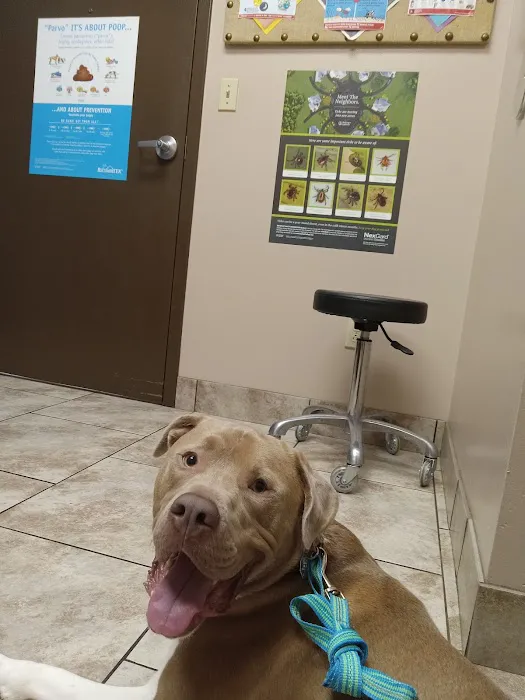 Tender Care Animal Hospital 12