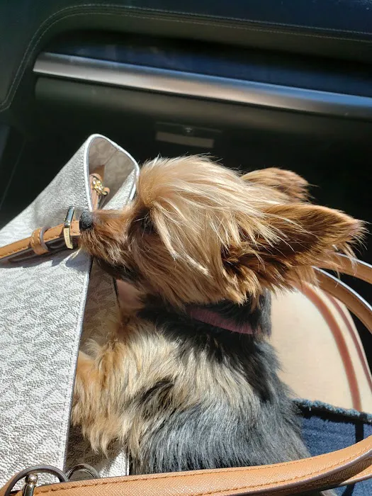 Osguthorpe Animal Hospital 2