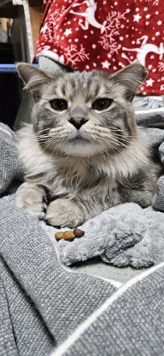 Angel Paws Veterinary Services 12