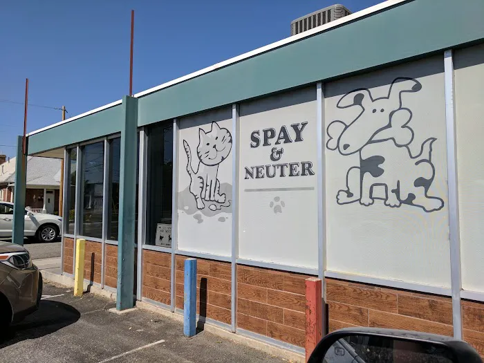 Spay & Neuter-Salt Lake City 8