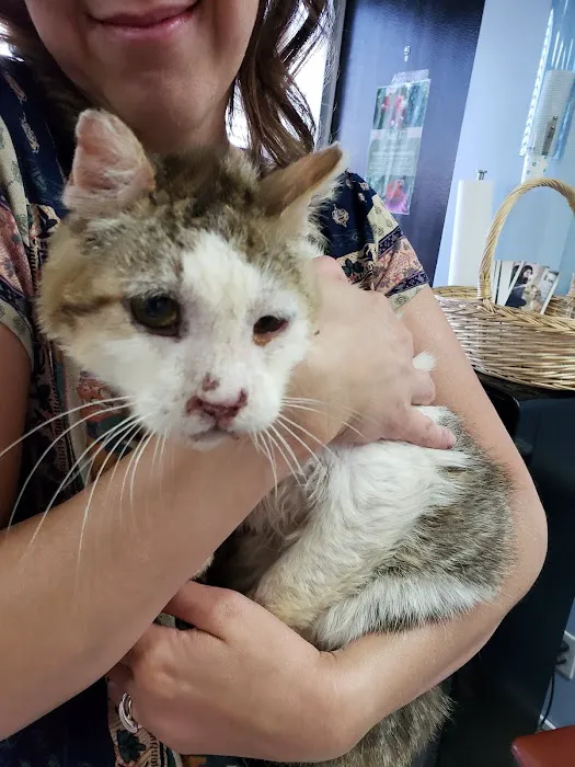 Spay & Neuter-Salt Lake City 4