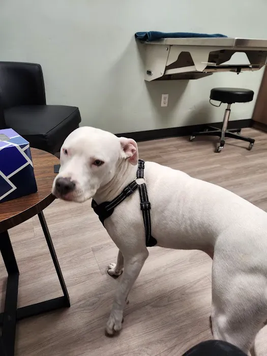 Neighborhood Veterinary Care 5