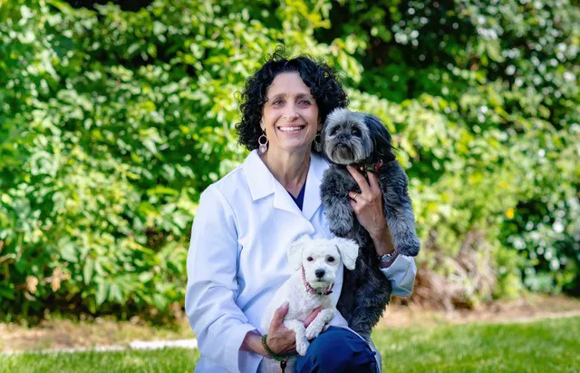 Neighborhood Veterinary Care 8