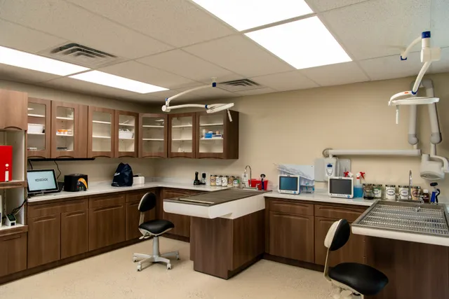Neighborhood Veterinary Care 2