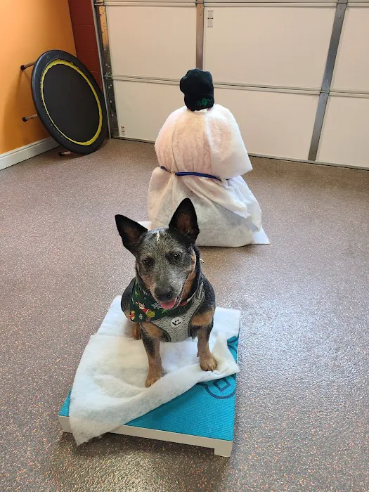 Alta Dog Rehabilitation 2