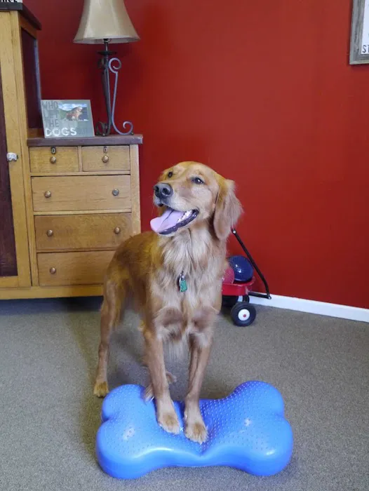 Alta Dog Rehabilitation 4