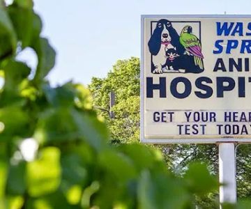 Wasatch Springs Animal Hospital