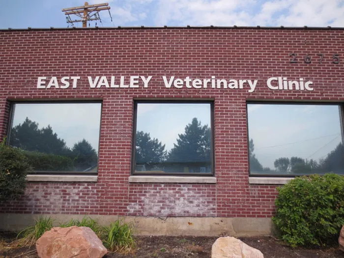 East Valley Veterinary Clinic 12