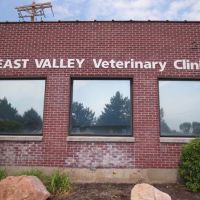 East Valley Veterinary Clinic ico