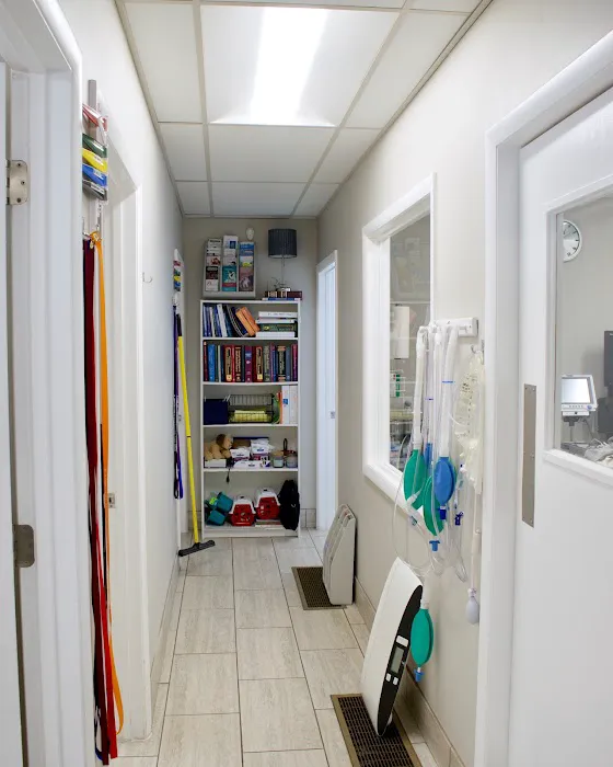 East Valley Veterinary Clinic 12