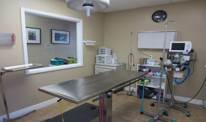 East Valley Veterinary Clinic 12