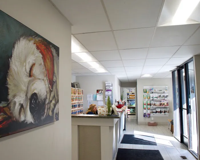 East Valley Veterinary Clinic 12