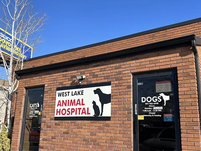 West Lake Animal Hospital 9
