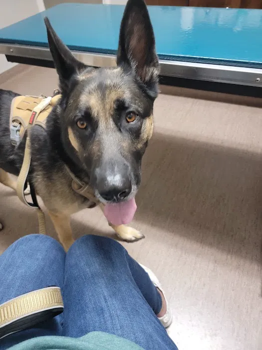 West Lake Animal Hospital 7
