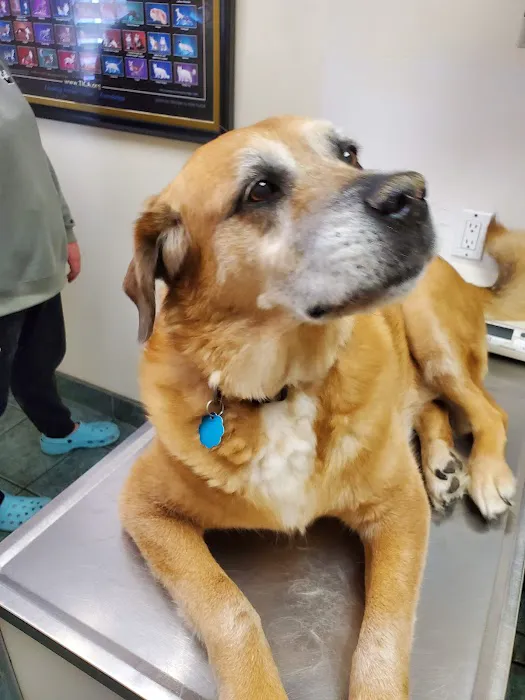 West Lake Animal Hospital 2