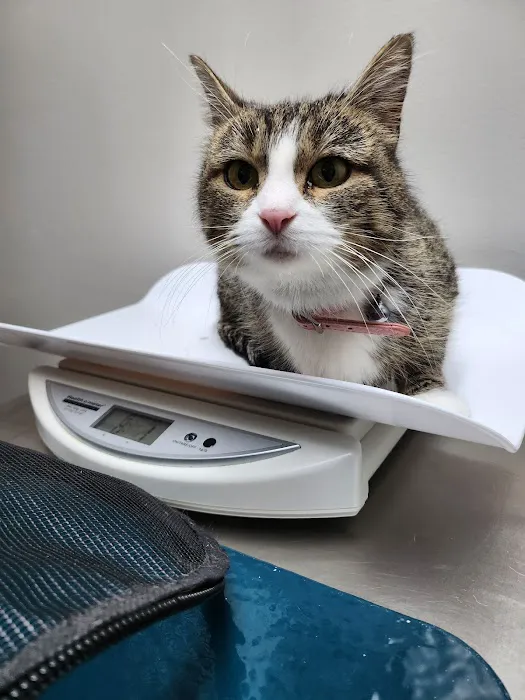 West Lake Animal Hospital 8