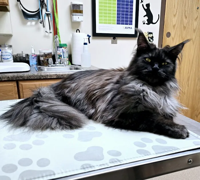 Hunter Animal Hospital 1