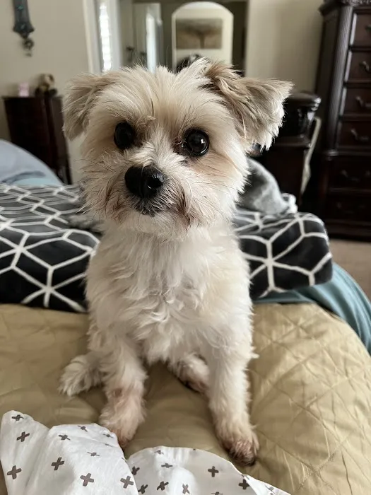 Banfield Pet Hospital 7