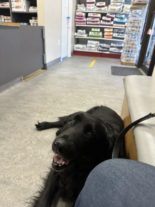 Olympus Cove Veterinary Clinic 7
