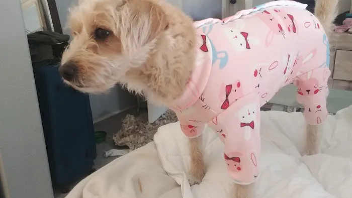 Vetco Total Care Animal Hospital 12