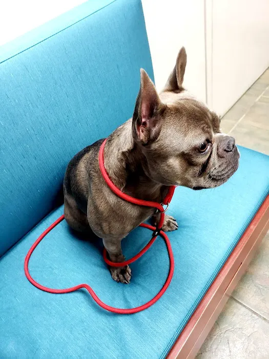 VCA Hualapai Animal Hospital 7