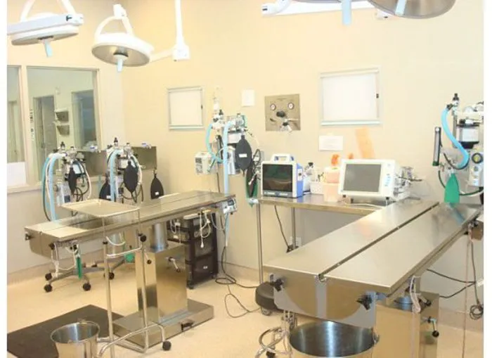 VCA Hualapai Animal Hospital 3