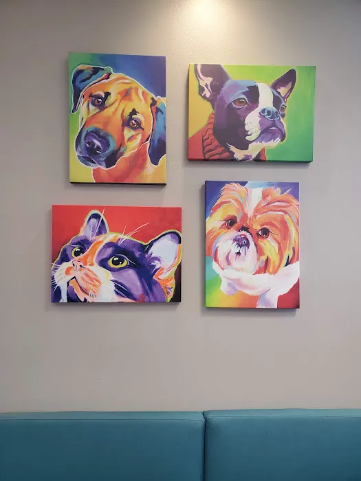 VCA Hualapai Animal Hospital 5