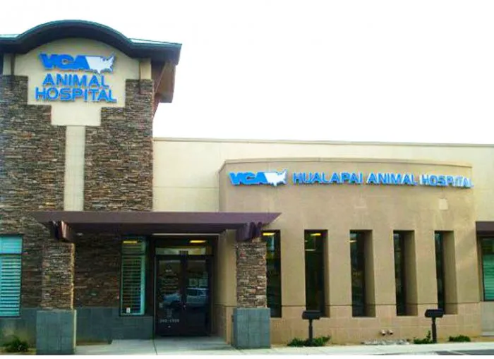 VCA Hualapai Animal Hospital 2