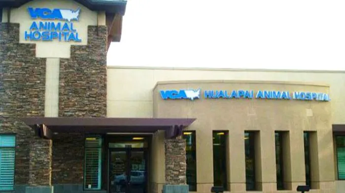 VCA Hualapai Animal Hospital 1