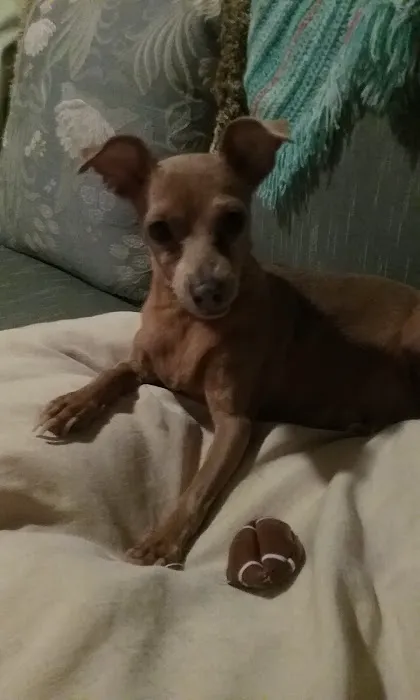 Banfield Pet Hospital 4