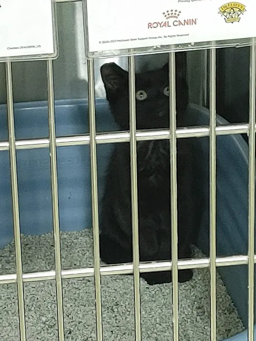 Banfield Pet Hospital 5